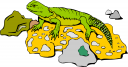 Chameleon Clipart