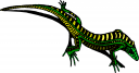 Chameleon Clipart