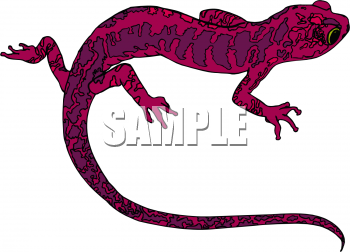 Chameleon Clipart