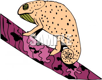 Chameleon Clipart