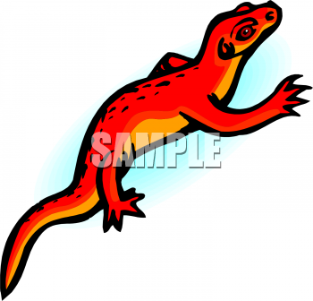 Chameleon Clipart