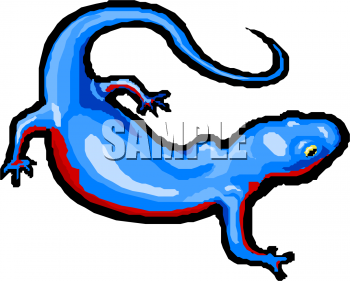 Chameleon Clipart