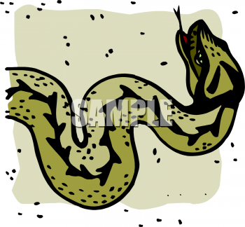 Snake Clipart