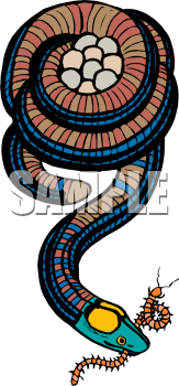 Snake Clipart