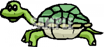 Tortoise Clipart