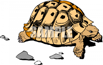 Tortoise Clipart