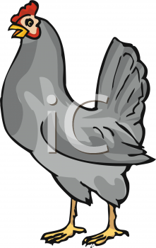 Chicken Clipart