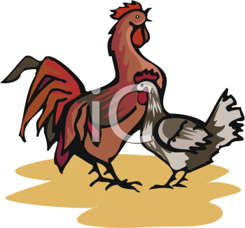 Chicken Clipart