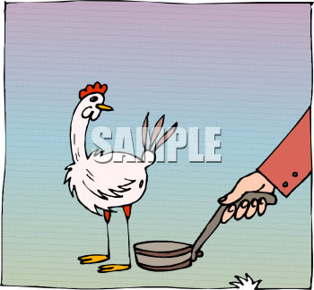 Chicken Clipart