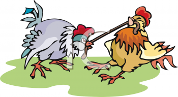 Chicken Clipart