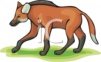 Wolf Clipart