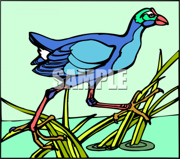 Grass Clipart