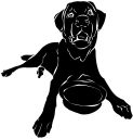 Dog Clipart