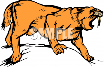 Cat Clipart