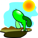 Cactus Clipart