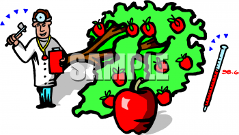 Apple Clipart