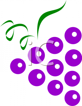 Grape Clipart