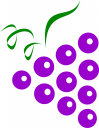 Grape Clipart