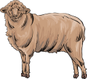 Mammal Clipart