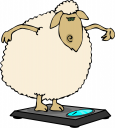 Sheep Clipart