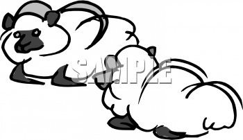 Sheep Clipart