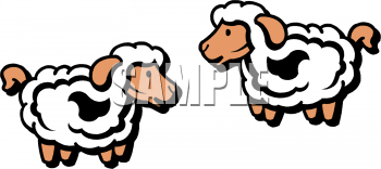 Sheep Clipart