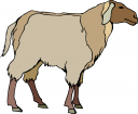 Sheep Clipart