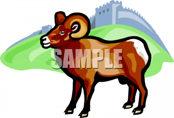 Sheep Clipart