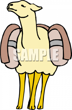 Sheep Clipart