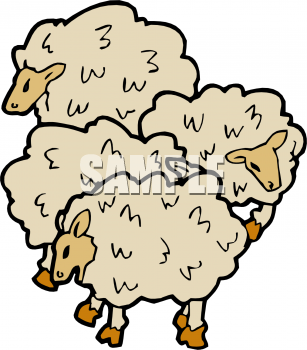 Sheep Clipart