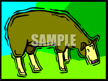 Sheep Clipart