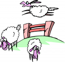 Sheep Clipart