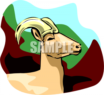 Sheep Clipart