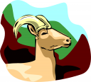 Sheep Clipart