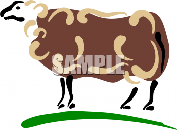 Sheep Clipart