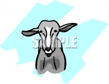 Sheep Clipart