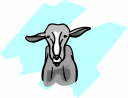 Sheep Clipart