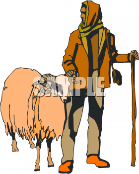 Sheep Clipart