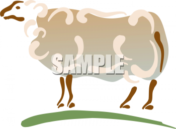 Sheep Clipart