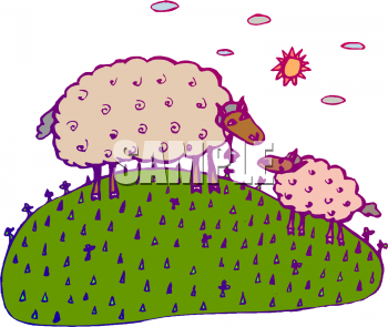 Sheep Clipart