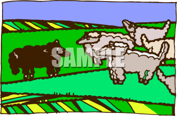 Sheep Clipart