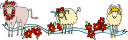 Sheep Clipart