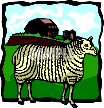 Sheep Clipart