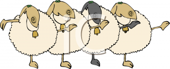 Sheep Clipart