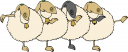 Sheep Clipart