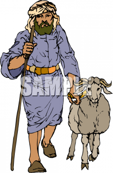 Sheep Clipart