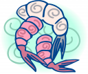 Shrimp Clipart