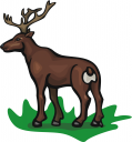 Deer Clipart