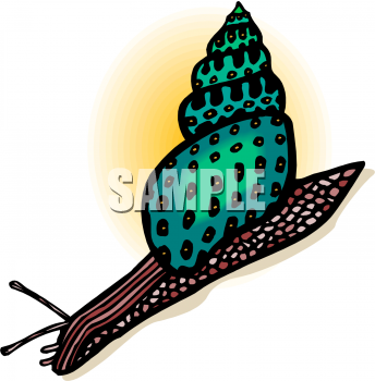 Bug Clipart