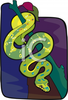 Snake Clipart